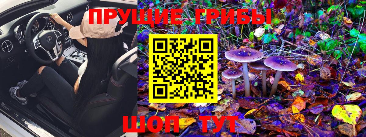 Псилоцибиновые грибы мицелий Углич