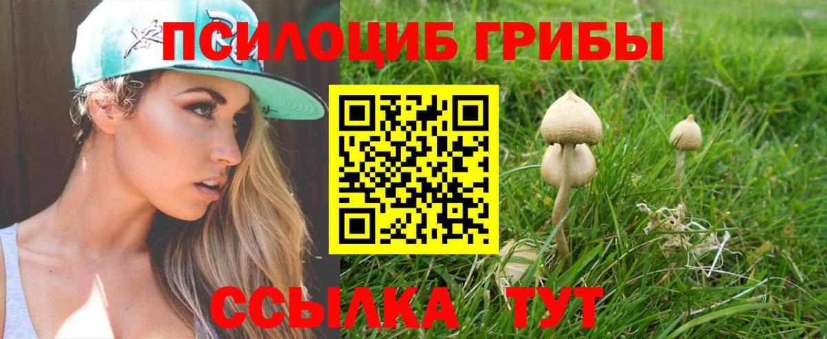 Галлюциногенные грибы мицелий  Вход с VPN  Галлюциногенные грибы прущие грибы  Углич 